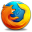 browser icon of fox around globe